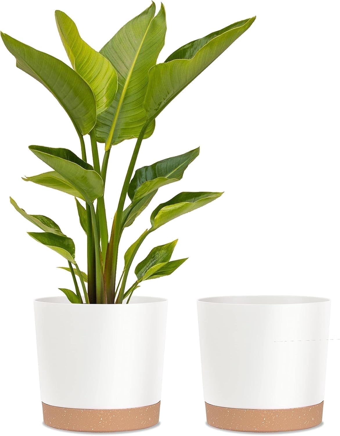Plant Pots for Indoor Plants, 2 Pack 12 Inch Pots for Plants, Lightweight Large White Planters for Indoor Plants Outdoor Plants, Big Plastic Plant Pot Flower Pot with Drainage (12” White)