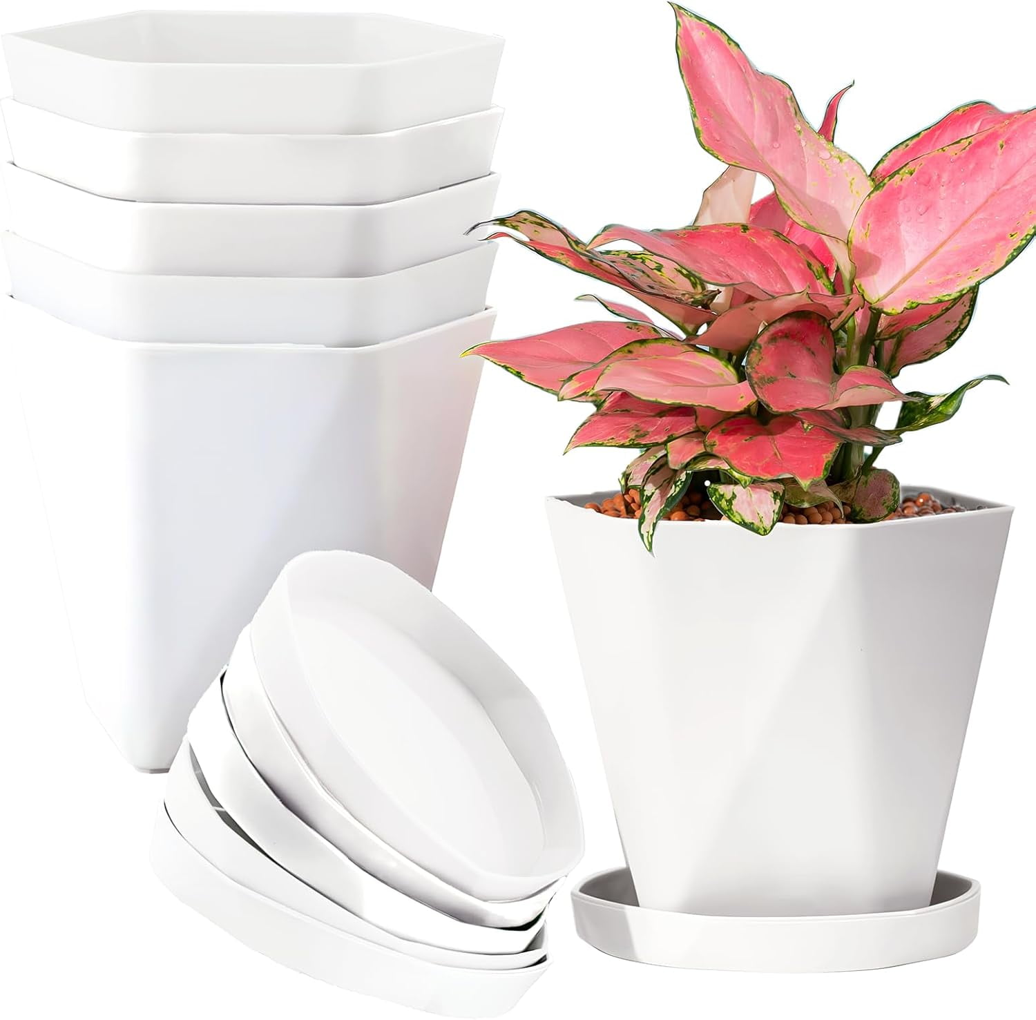 Plant Pots Indoor Plastic Flower Pots Outdoor 5 inch Set of 6 Pack with ...