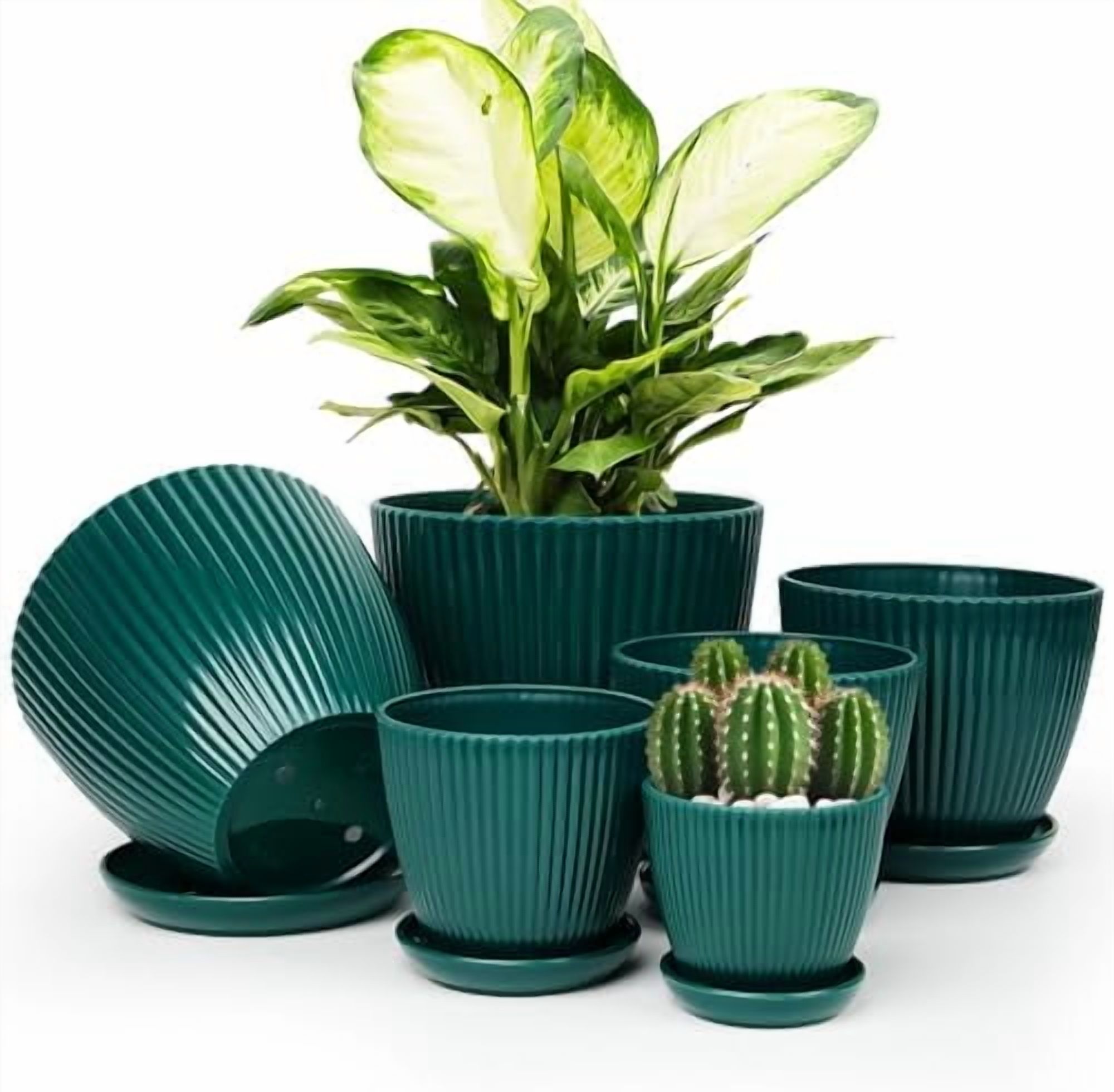 Plant Pots Indoor with Saucers & Drainage - 6 Pack Flower Pots ...