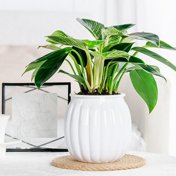 Plant Pots Indoor, Small Plant Pots, Self Watering Pots, White Flower Pots, 5 Inch Outdoor Plant Pot Basket, Double-Layer Planter with Drainage Holes for Garden Home