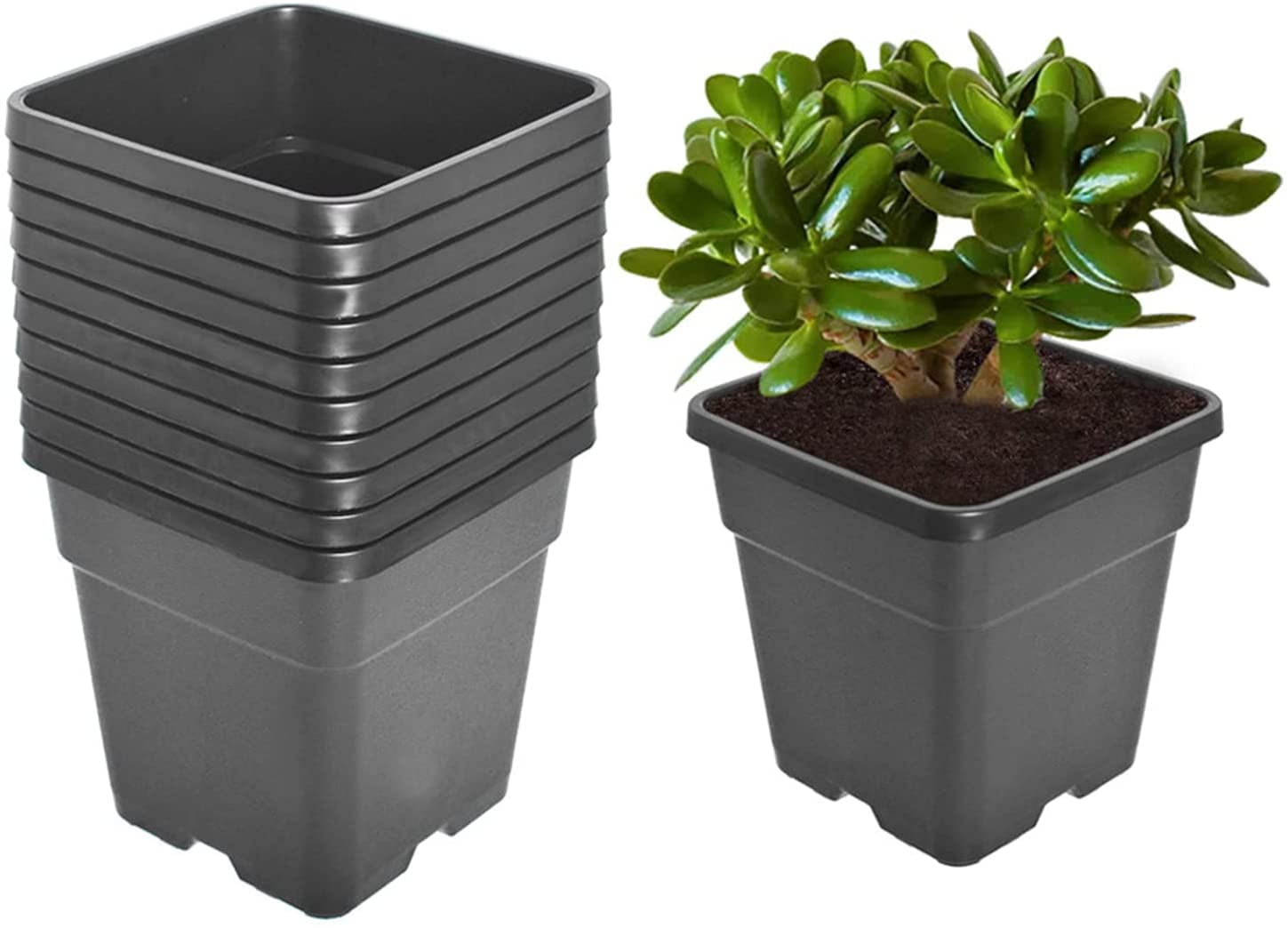 Plant Pots Planters for Outdoor Plants, 10 Packs Plastic Nursery Pots Flower Pots with Drainage Holes, Small Gardening Succulent Pot for Seed Starter, Strawberry, Sunflower, Herb Indoor Plant