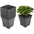 thumbnail image 1 of Plant Pots Planters for Outdoor Plants, 10 Packs Plastic Nursery Pots Flower Pots with Drainage Holes, Small Gardening Succulent Pot for Seed Starter, Strawberry, Sunflower, Herb Indoor Plant, 1 of 7