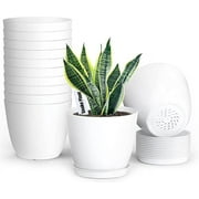 Plant Pots, Set of 8 Plastic Planters with Multiple Drainage Holes and Tray 4 inch Indoor Plant Pot,Seedlings Plant Nursery Pots for All Home Garden Flowers Succulents (White)