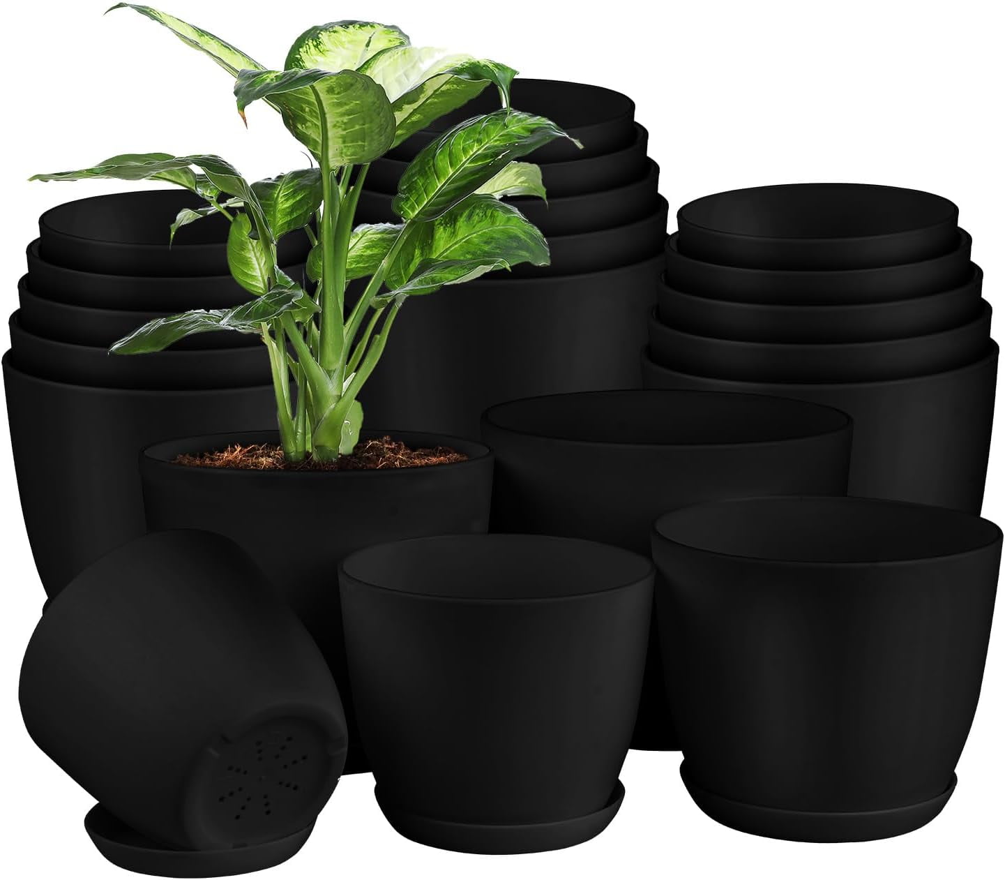 Plant Pots with Multi Drainage Holes 20 Pieces Versatile, Sturdy