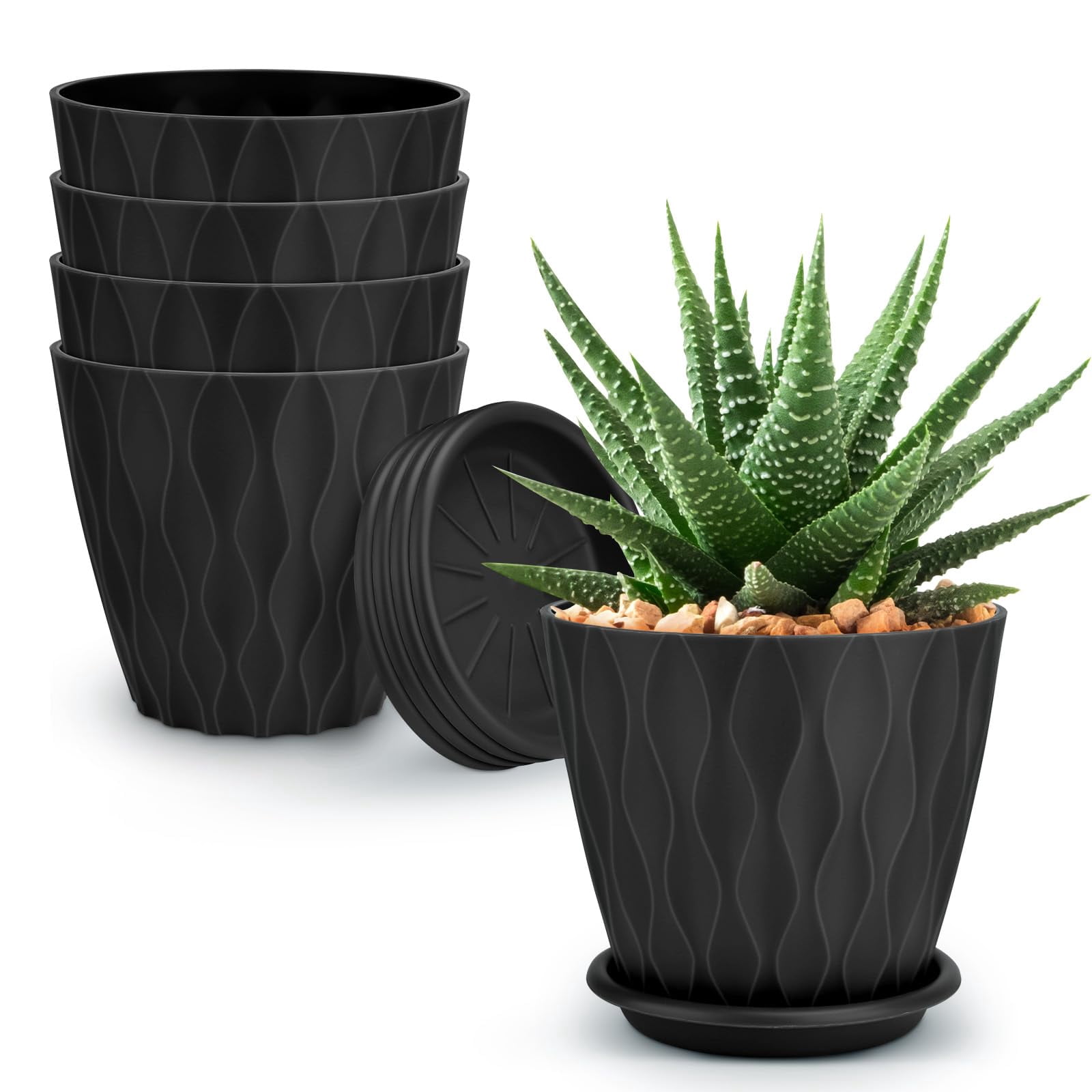 Plant Pots