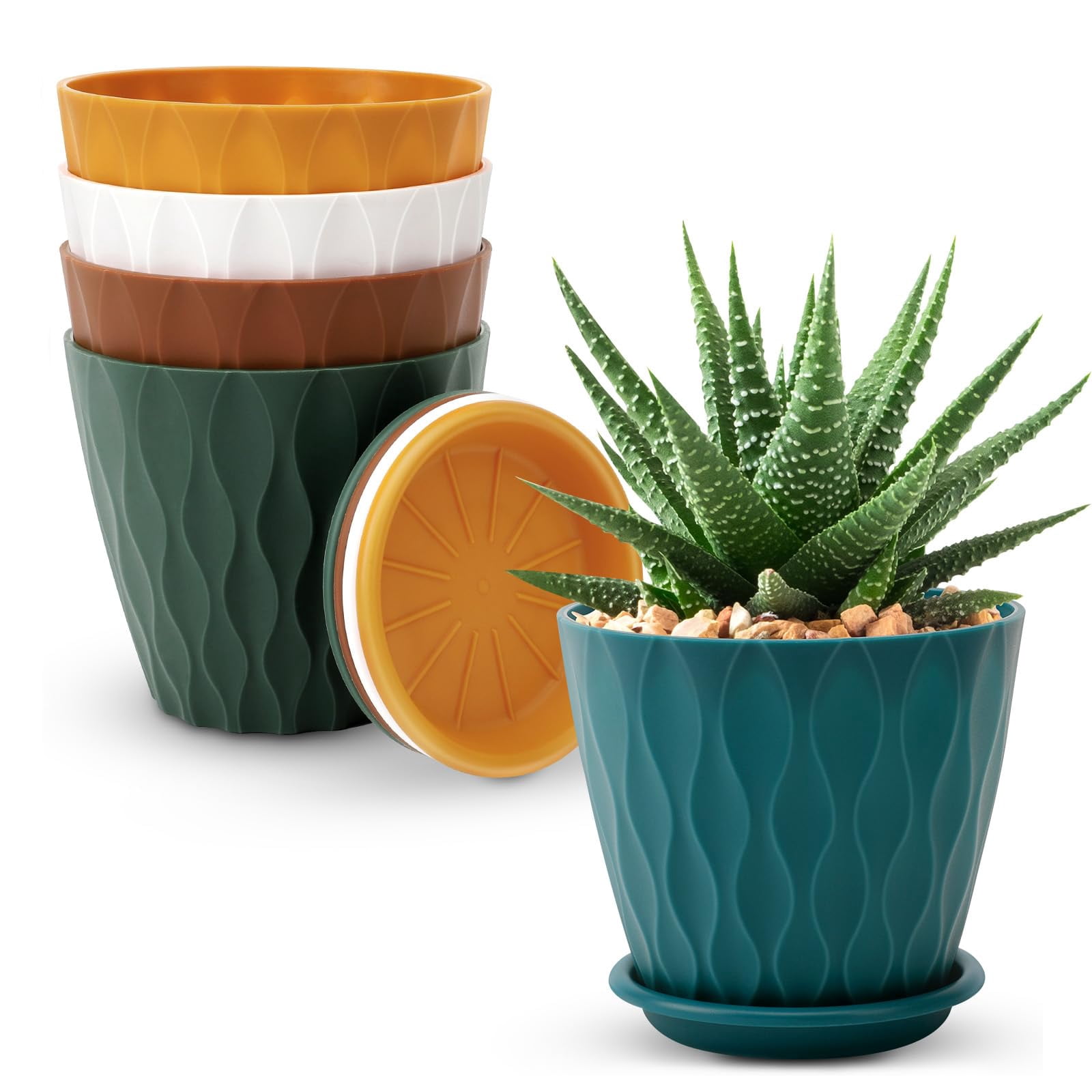 Plant Pots