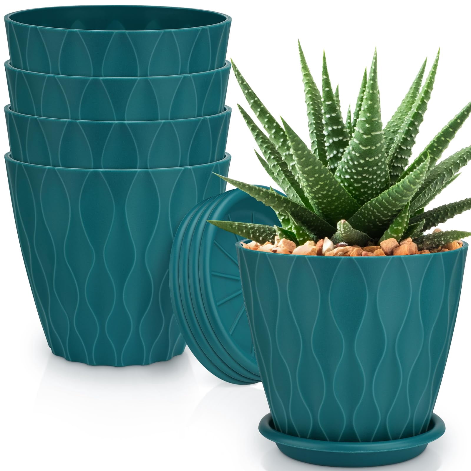 Plant Pots