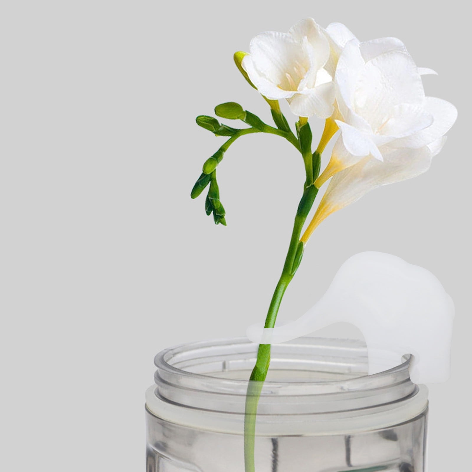 6 Essential Tools for Successful Plant Propagation - Plant Propagation Tools