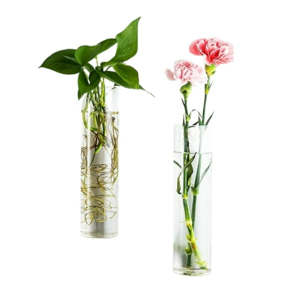 Plant Propagation Station, 2 Pcs Wall Hanging Glass Planter, Plant Terrarium, Vertical Plant Display Stand for Garden Office Decoration, Plant Lover Gifts