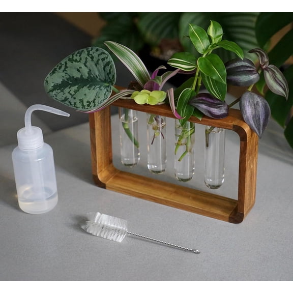 Plant Propagation Station - Acacia Wood Stand with 4 Glass Test Tubes, Tabletop Hydroponic Terrarium Planter Rack for Rooting & Houseplant Decor, Gift for Plant Lovers