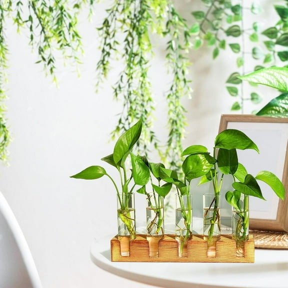 Plant Propagation Station, Plant Terrarium with Wooden Stand, Plant Pots for Hydroponics, Small Birthday Gardening Gifts for Women Mom Plant Lovers Unique - 5 Glass Test Tubes Vases