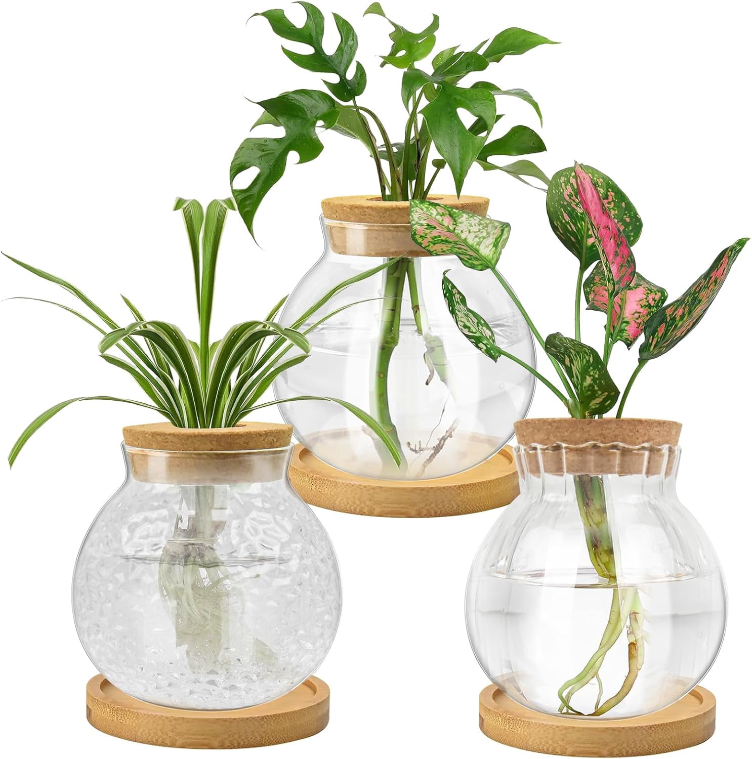 Plant Pacifiers Plant Propagation Station, Water Planting with Tray & Wooden Saucer ...