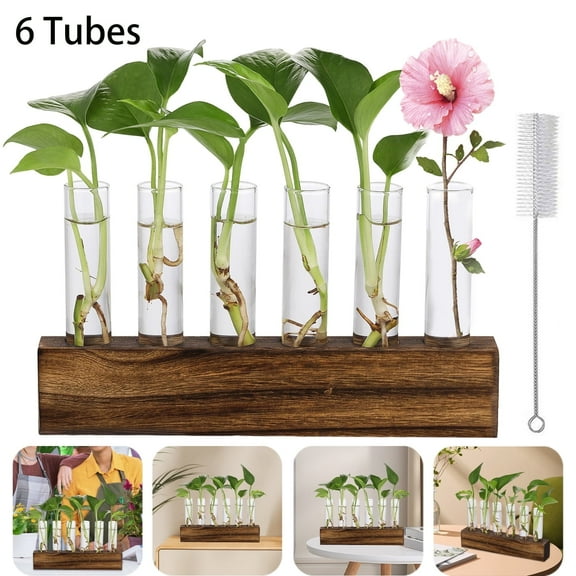 Plant Propagation Stations Glass Vase Station, Tabletop and Wall Hanging Glass Planter Propagation Vase with 6 Glass Test Tubes for Propagating Hydroponic Plants Home Office Decor