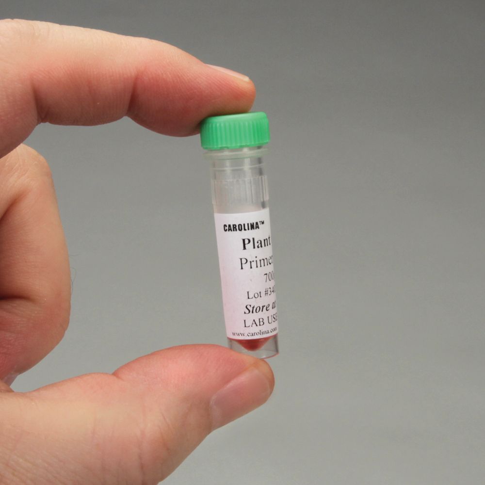 Plant Rbcl Primer Set, 700 Μl, Amplify & Sequence Plant Dna