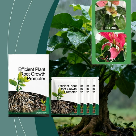 Plant Root Growth Promoter - Fast Rooting Powder for Cuttings, Transplants & Seedlings - Boosts Root Development, Improves Plant Survival Rate - Ideal for Flowers, Vegetables, Fruit Trees