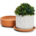 thumbnail image 1 of Plant Saucer 7.2 inch, 7.2 inch Plastic Plant Drip Trays, Heavy Duty Plant Trays for Indoors no Holes, Plant Water Tray for Planters,185mm, 1 of 6