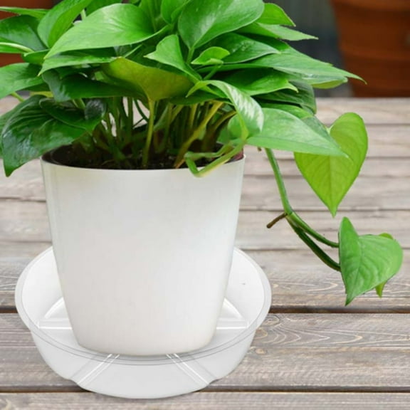 Plant Saucer,Clear Plant Saucer Pot Tray,Plant Pot Saucers,Plastic Plant Drip Trays,Durable Round Plastic Flower Plant Water Drip Tray for Pots,Plant Dish Plate to Catch Water for Indoor & Outdoor