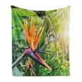 thumbnail image 1 of Plant Soft Flannel Fleece Blanket, Close-up Image of Strelitzia Reginae Bird of Paradise Flower Madeira Island Portugal, Cozy Plush for Indoor and Outdoor Use, 60" x 80", Multicolor, by Ambesonne, 1 of 5