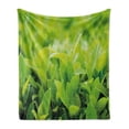 thumbnail image 1 of Plant Soft Flannel Fleece Throw Blanket, Green Leaves with Sun Open Air Sunny Days Spring Time Happy Vibes Environment, Cozy Plush for Indoor and Outdoor Use, 60" x 80", Apple Green, by Ambesonne, 1 of 6