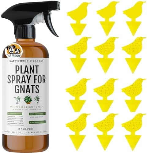Picture of How to get rid of gnats - Homes & Gardens