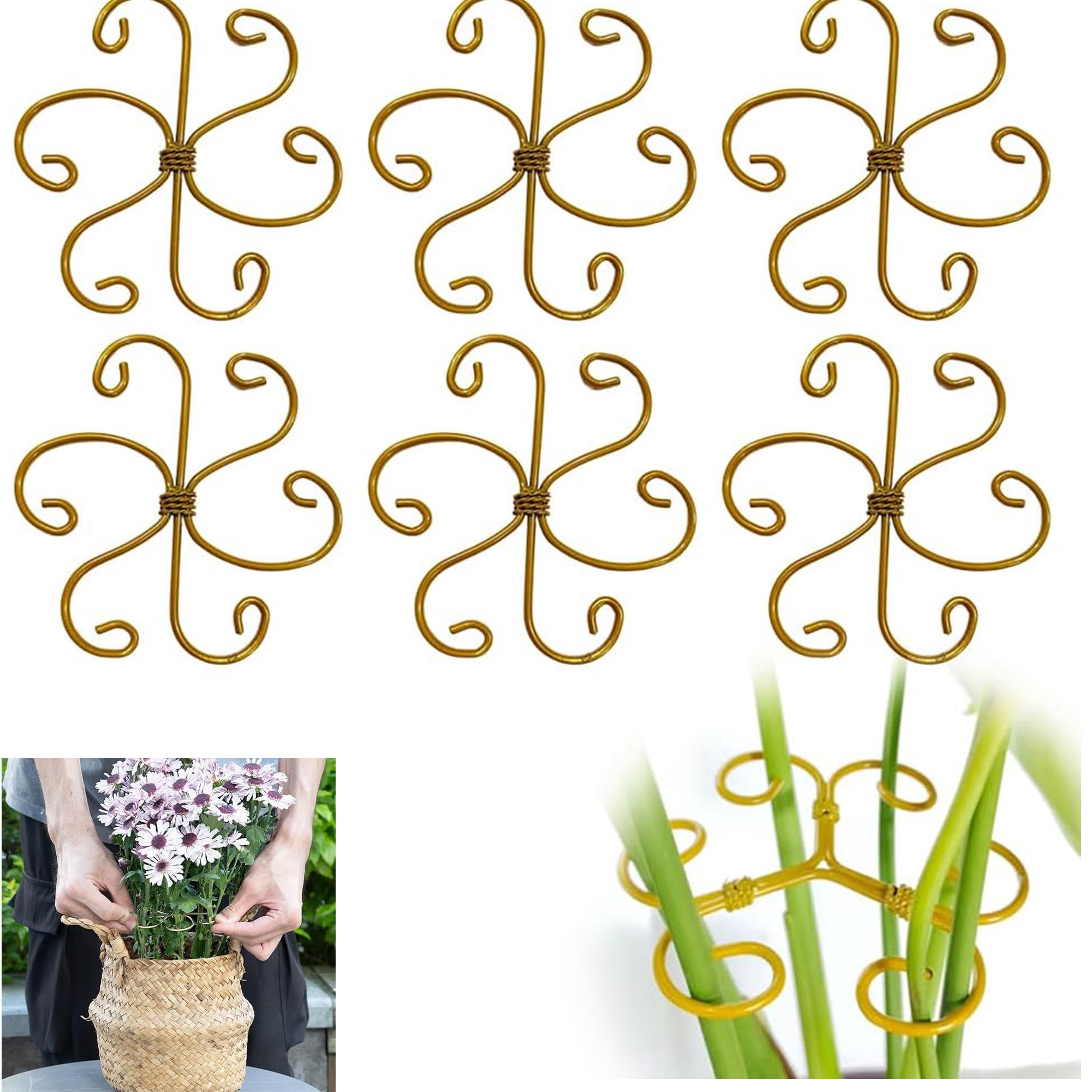 Plant Stabilizer for Indoor Plants, Plant Stem Support, Plant ...