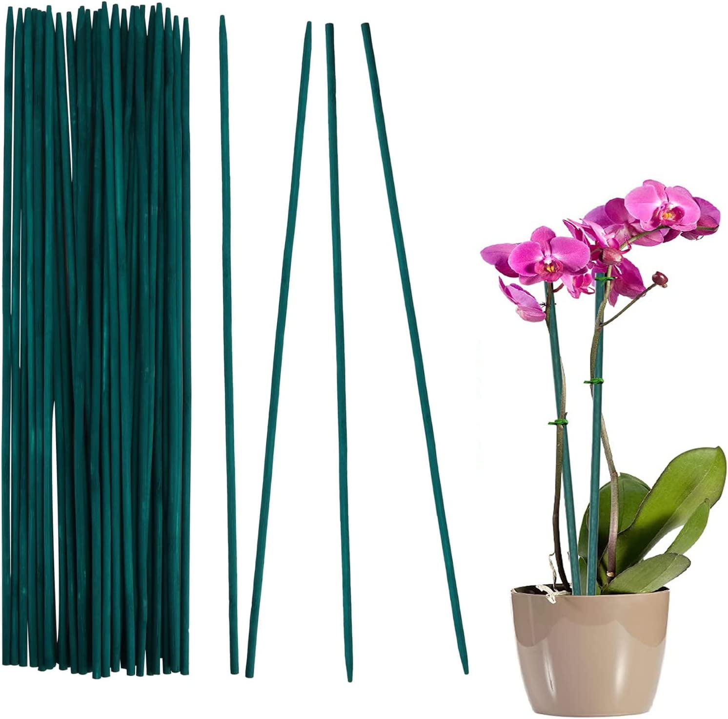 Plant Stake Plant Support Sticks Pack of 30, 38cm Weatherproof Plant