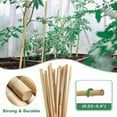 thumbnail image 1 of Plant Stakes,18 Inch Natural Garden Bamboo Sticks, 20Pcs Plant Support Stakes for Tomatoes,Beans,Vegetable and Potted Plants(Width 0.23”-0.4"), 1 of 8
