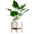 thumbnail image 1 of Plant Stand - EXCLUDING Plant Pot, Mid Century Wood Modern Flower Pot Holder Heavy Duty Potted Stand Indoor Display Rack Rustic Decor, 1 of 4