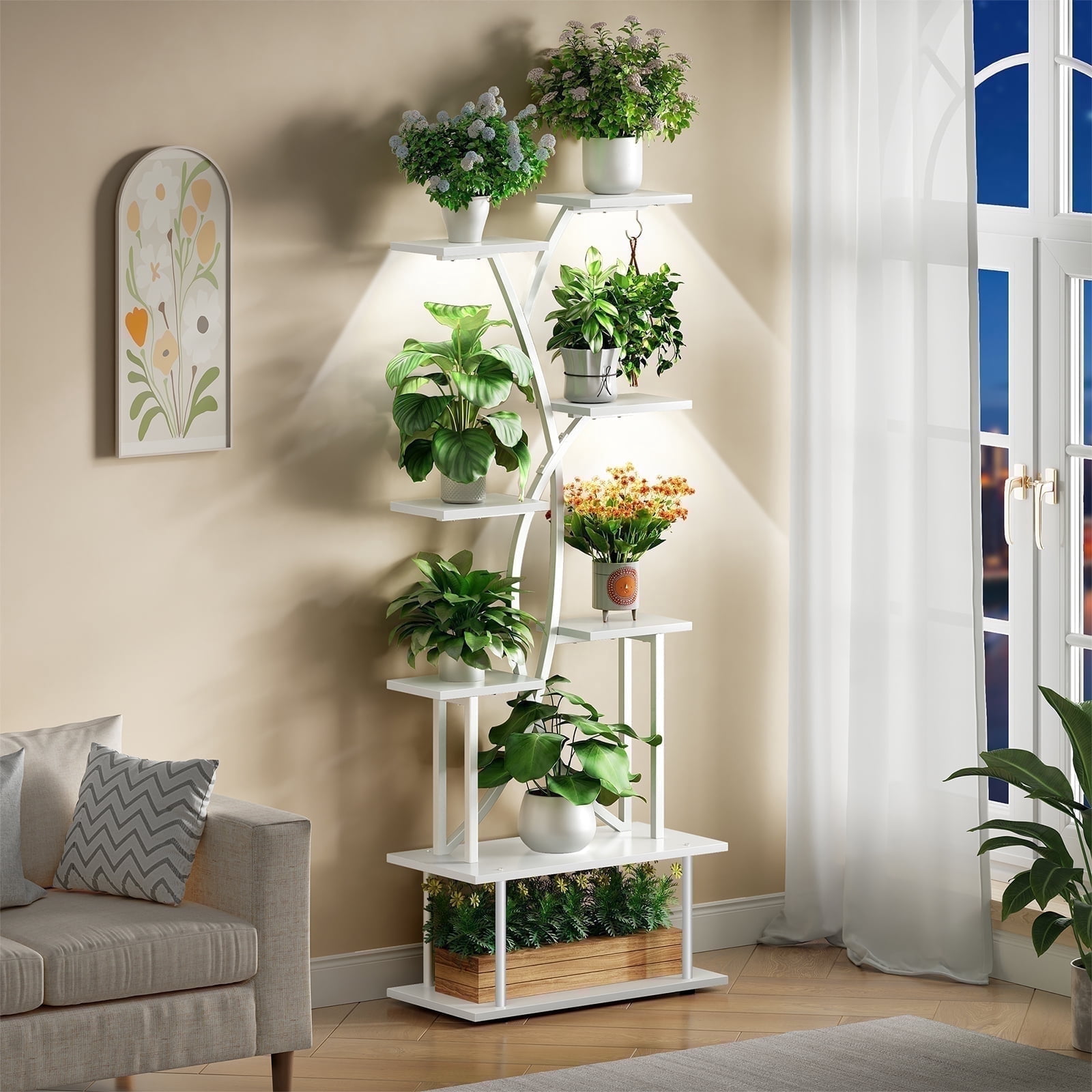 money tree plant indoor or outdoor Money Tree | Pachira Aquatica | Care Guide and Pro Tips - Delivery from  Toronto across Canada main image 0