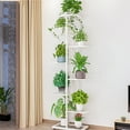 thumbnail image 1 of Plant Stand Indoor Outdoor, 8 Tier 9 Potted Multiple Flower Pot Holder Shelf, Planter Display Shelving Unit for Patio Garden Corner Balcony Living Room, 1 of 6