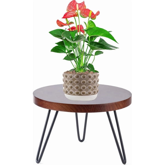 Plant Stand Indoor Outdoor, Wooden plant Stool, Mid Century for Plants, Wood Modern Holder Rattan Flower, Low Short Boho Rustic Planter Fit 5-15 Inch Pot (Walnut, M)