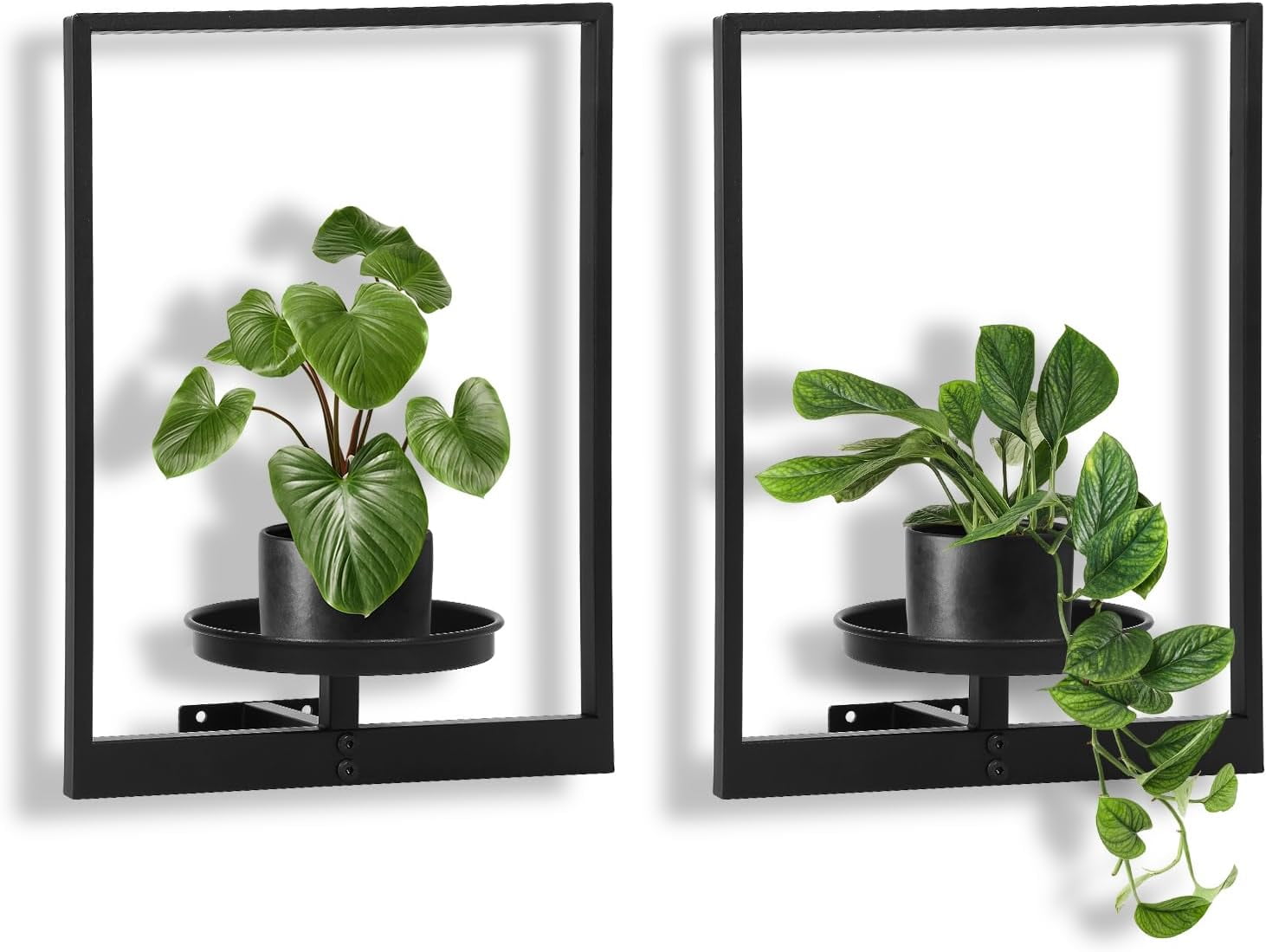 Plant Stand Plant Picture Frame, Hanging Planter Wall Rack with Metal ...