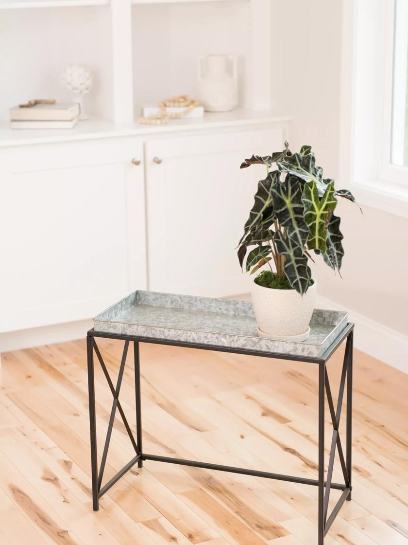 Rectangular Black Metal Plant Stand with Galvanized Tray