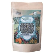 Plant Success Soluble - 16oz