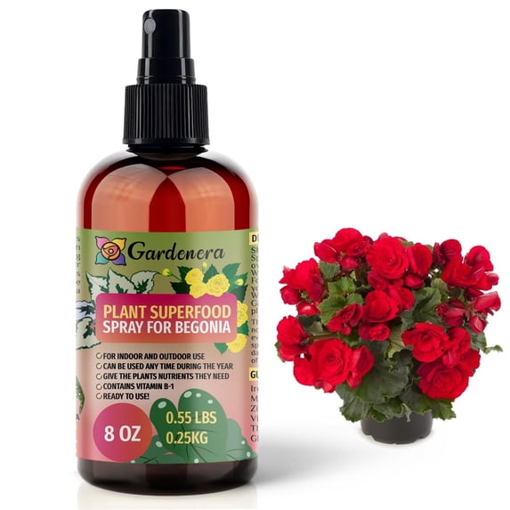 β ππππππππππ Plant Superfood for BEGONIA Plants with B1 Vitamin, Glucose and Essential Minerals - Organic Plant Food Fertilizer for Indoor & Outdoor BEGONIA Plant Care - 8oz