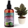 thumbnail image 1 of ⭐ 𝐁𝐄𝐒𝐓𝐒𝐄𝐋𝐋𝐄𝐑 Plant Superfood for CALATHEA Plants with B1 Vitamin, Glucose and Essential Minerals - Organic Plant Food Fertilizer for Indoor & Outdoor CALATHEA Plant Care - 8oz, 1 of 6