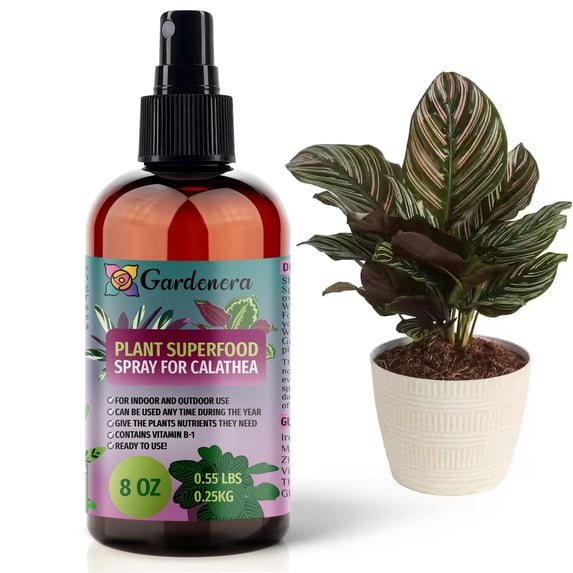 β ππππππππππ Plant Superfood for CALATHEA Plants with B1 Vitamin, Glucose and Essential Minerals - Organic Plant Food Fertilizer for Indoor & Outdoor CALATHEA Plant Care - 8oz