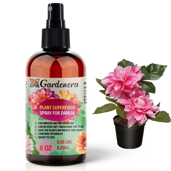 ⭐ 𝐁𝐄𝐒𝐓𝐒𝐄𝐋𝐋𝐄𝐑 Plant Superfood for DAHLIA Plants with B1 Vitamin, Glucose and Essential Minerals - Organic Plant Food Fertilizer for Indoor & Outdoor DAHLIA Plant Care - 8oz
