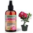 thumbnail image 1 of ⭐ 𝐁𝐄𝐒𝐓𝐒𝐄𝐋𝐋𝐄𝐑 Plant Superfood for DESERT ROSE Plants with B1 Vitamin, Glucose and Essential Minerals - Organic Plant Food Fertilizer for Indoor & Outdoor DESERT ROSES Care - 8oz, 1 of 6