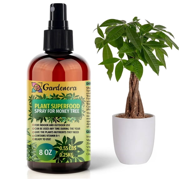 β ππππππππππ Plant Superfood for MONEY TREE Plants with B1 Vitamin, Glucose and Essential Minerals - Organic Plant Food Fertilizer for Indoor & Outdoor MONEY TREES Care - 8oz