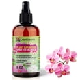 thumbnail image 1 of ⭐ 𝐁𝐄𝐒𝐓𝐒𝐄𝐋𝐋𝐄𝐑 Plant Superfood for ORCHIDEA Plants with B1 Vitamin, Glucose and Essential Minerals - Organic Plant Food Fertilizer for Indoor & Outdoor ORCHIDEA Plant Care - 8oz, 1 of 6