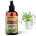 thumbnail image 1 of ⭐ 𝐁𝐄𝐒𝐓𝐒𝐄𝐋𝐋𝐄𝐑 Plant Superfood for SPIDER Plants with B1 Vitamin, Glucose and Essential Minerals - Organic Plant Food Fertilizer for Indoor & Outdoor SPIDER Plant Care - 8oz, 1 of 6
