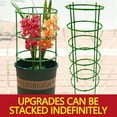 thumbnail image 1 of Plant Support Cages for Climbing Vines | Tomato Flower Holder with Adjustable Standing Stakes | Stabilizing Support Rings | Garden Plant Trellis | 15x10cm | Pack of 10 | Sturdy Easy Install, 1 of 6