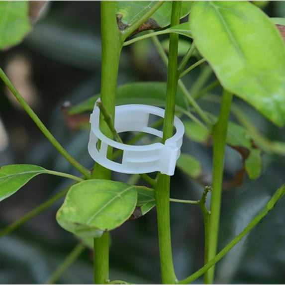 Plant Support Clips, Plant Clips for Climbing Plants Clear Plastic Reusable Garden Tomato Clips Trellis Clips Vine Vegetables Plant Fixing Clips