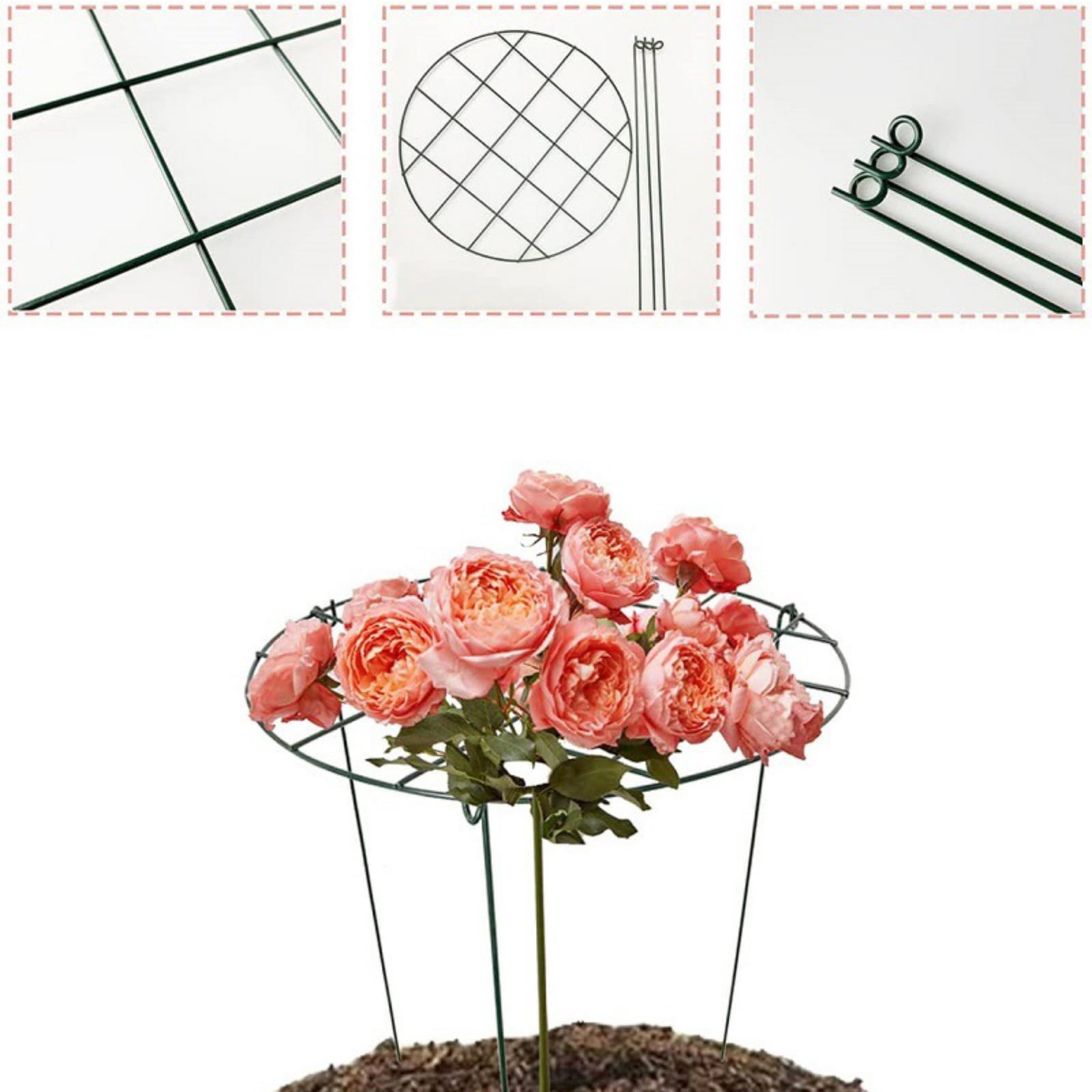 Plant Support Stakes, 2 PCS Peony Cages and Supports, Plant Support ...