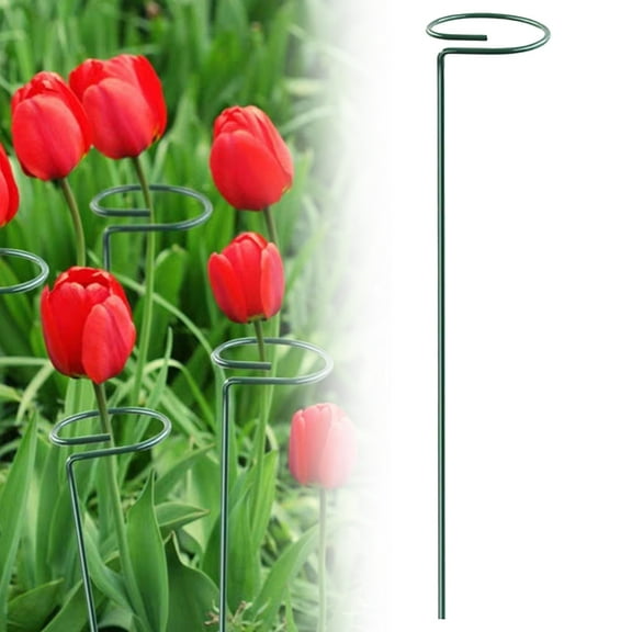 Plant Support Stakes, Garden Single Stem Flower Support Stake, Metal Garden Single Stem Flower Support Stick Plant Cage Support Ring for Flowers Amaryllis Orchid Peony Lily Rose Walmart Pallets