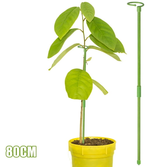 Plant Support Stakes for Indoor Plants,6 Pack,Garden Single Stem Support Stake Plant Cage Support Rings,Single Stem Plant Support Stakes Plant Twist Ties,for Flowers Tomatoes Peony Lily Rose