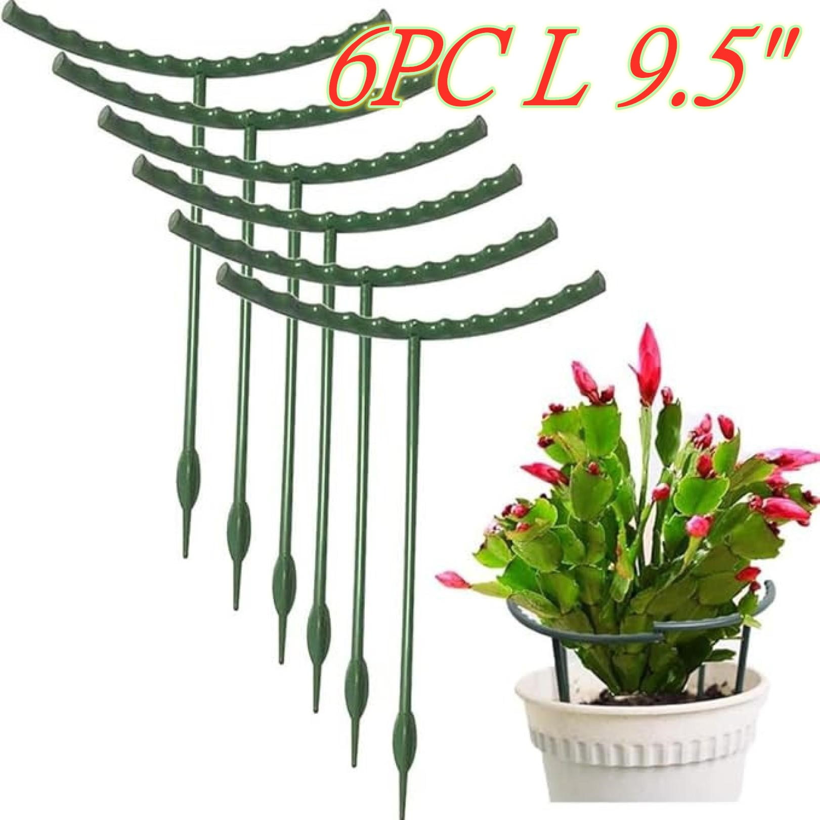 Plant Support Stakes For Indoor Plants 6 Pack Half Round Plant Stakes ...