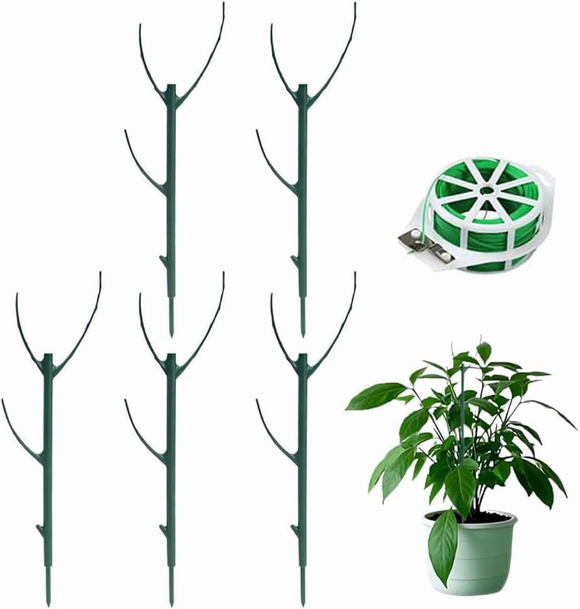 Plant Support Stakes, Stackable Monstera Plant Stakes for Indoor and ...