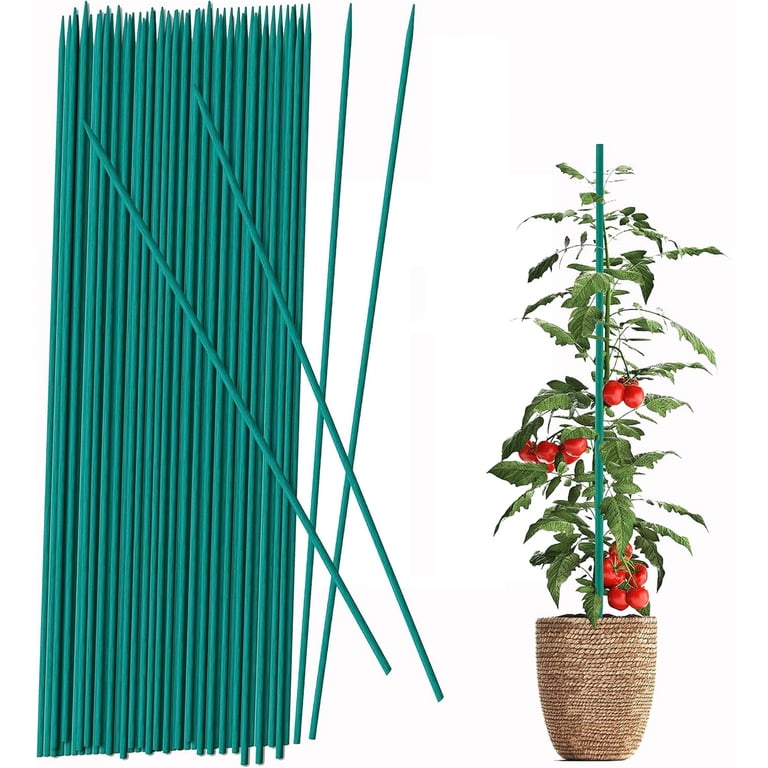 Plant Support Sticks,Bexikou 50Pack 15.7in Plant Stakes,Green Bamboo  Sticks,Bamboo Plant Support for Garden and Home Floral Picks Gardening  Tripods ...